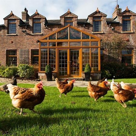 Blackwell House Banbridge Extérieur photo
