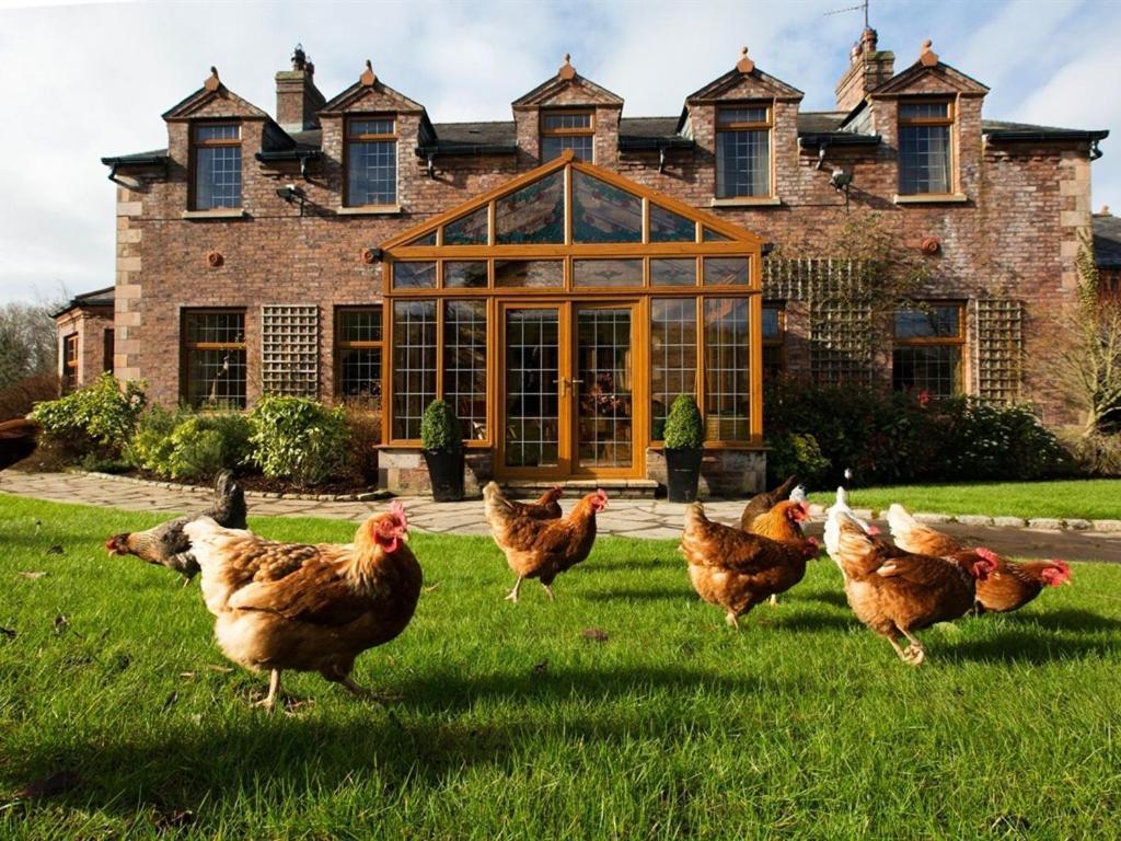 Blackwell House Banbridge Extérieur photo
